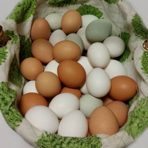 I love a basket of pretty eggs!  It never gets old!