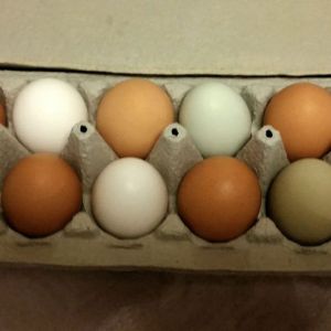 My pretty eggs!