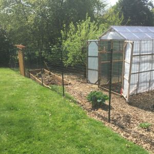 Fence moved and garden bed put in.  Coop goes just below the new raised garden bed.  New gate down there also.