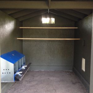 Putting up Roosting bars, just missing the ladders and the automatic chicken door!  Then comes the pine shaving, nest box pads and food and water!!!