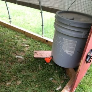 The corner braces support 5 gallon water buckets with drinker cups.  The broilers had no issue figuring them out and the pair of buckets lasted about 2 day as long as it wasnt too hot.