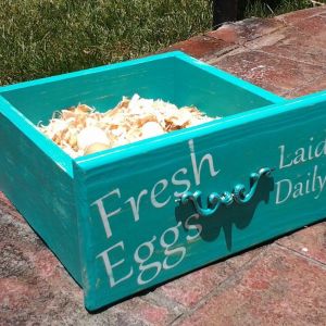 New nesting box!