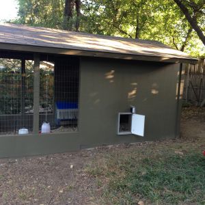 outside photo shows automatic chicken door