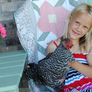 Our granddaughter, Ava loves the chickens! Henrietta seems to like her as well!