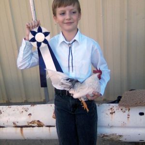 Canyon County Fair, 2nd place for his age group