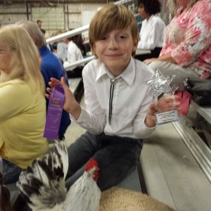 Placed 2nd for his age group - IBBA showmanship with one of his white cockerels