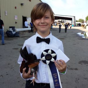 Daniel won 1st place in his age group (Junior) and grand Champion for the Junior/Novice run off. - Canyon County Fair, July 2015