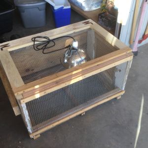 Just a quick brooder box I built out of some recycled materials I had laying around the shop, the only thing missing is the thermometer. The light is adjustable using the clamp that came with it.