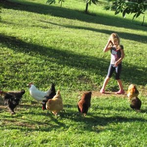 My daughter feeding the flock.
