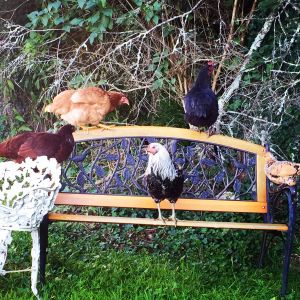 Whose bench is this?