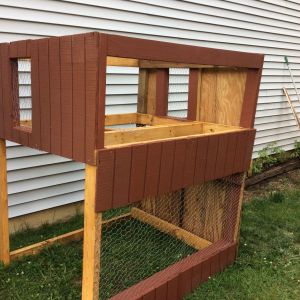 Once I had the frame and the plan for the nesting loft, I started adding windows and walls. I constructed two windows in the loft for cross ventilation in the hot months. I intend to install outside shutters on the windows to do the opposite during the cold months. I made the window on the bottom large so the hens can get some sunshine, if there comes a time when they're locked in their crib during the day. So far, they've been spoiled and allow to roam freely in their fenced-in backyard. 

I'm pretty sure I made a mistake with the kind of cage wire I chose. I bought it before I read-up thoroughly on predators and coop designs, so I didn't know about the durability of traditional chicken wire. Oh well! I guess it's a good thing that I used screws for just about all the construction, so when the wire rusts out I can easily replace it with a heavier gauge.

This is the point where I knew something was wrong with my skill saw; it started acting very angry whenever I used it to cut some of that re-purposed wanes coating. I began to dread using it, and would look for other things I could complete without. Pretty soon, though, it was impossible; I had to soothe my saw's temper and change the blade.

 In the mean time, I took my miter saw out of its box and put it to use. I couldn't cut the wanes coating with it, but I could cut frame pieces with it. Boy! talk about nervous; I was definitely afraid to engage the intensity of that blade. But, I did, and soon I was over my trepidation. It actually encouraged me to start on the roof.