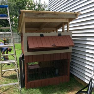 The installation of the metal roof was the only part of the coop that I needed help with. I employed one of the roofers who installed the roof on my house, a few years ago, to snip the metal and help me attach it to the structure. He also installed the gutter and spout. I went with a lean-to style roof because of the limited material I had for a gutter and spout, and I wanted more control of the water run-off direction. 

By the time Andre came over to help me with the roof, I had pretty much all of the rest of the outside completed. In this photo the hinged, nest door is shown propped open. Later, I cut a 1X1 and attached a repurposed piece of industrial-like cord to one end of the 1X1, while attaching the other end of the cord to the inside of the nest. That way, the 1X1 pole won't get lost or misplaced.