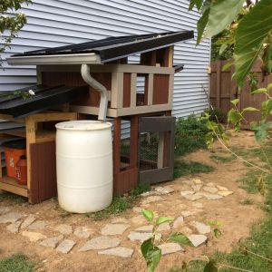 This photo was taken August 22, 2015. I added the stones around the front of the coop in hopes that snow will be easier remove from that area. 
Here, you can also see the unfinished, attached structure on the left, which is the closet. I've come to a stall on material to finish it, however ; I need screws to attach the walls and to construct the door.
 I also still need to clean the rain barrel and install a spout on the bottom of the barrel, so I can claim the water. I got the barrel from my neighbor, who was throwing it out, a few years ago. I knew I could eventually use it, so I grabbed it, and hung onto it until I had the right purpose for it. One of these weekends, soon, and before winter, I'll clean it on the inside with a pressure washer and finish it, too.