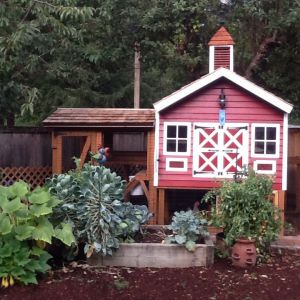 My amazing husband designed and built this coop for our girls this spring!