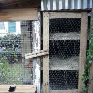Closet style. Chicken wire bottom to each and stuffed with hay. Wandering if I could use this setup with heat lamp and new chicks. ...possibilities are endless.