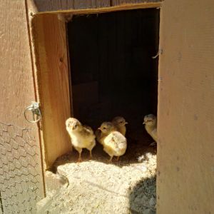 Looks like a big, scary world