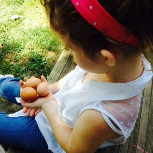 My daughter Tiffany, holding the eggs we just gathered from the chicken coop!