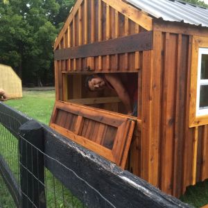 This is where we put the laying nests