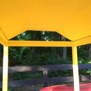 Somewhere I read the color yellow would help them through the winter months