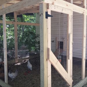We still have to finish fencing the top and dig some wiring below the coop