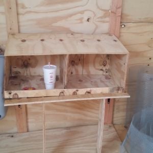My new coop is almost finished....I just to to add roost and roost and door