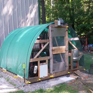 coop placed on new concrete pad