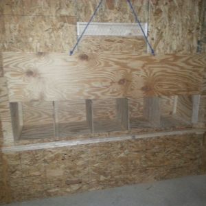 Nesting box door from inside