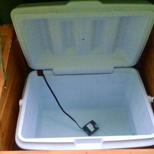 waterer reservoir made from 6 gallon cooler with aquarium pump to circulate water. we're going to add a bird bath heater in the winter