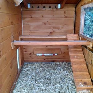 inside of coop. waterer in the back for the winter