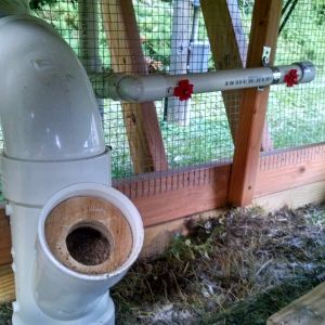 pvc feeder and waterer under coop
