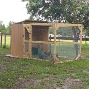 Our coop is still in progress of being completed, nest box is almost finished, the front of the enclosed part has been almost completely closed in since this photo was taken, a PVC feeder has been installed inside and a 2x4 roost, another to be added later once we are finished working inside the coop.  Electric wire will also surround the coop along with a wire apron, right now we have a temporary apron around it. An automatic waterer has been ordered along with colored leg bands for the hens and 1,000 live meal worms to start a mealworm colony. Fodder system to be created in the future. Chickens will be free ranged in the horse pasture, a chicken door will be installed for this purpose later.