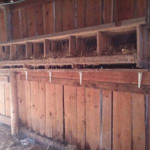 View looking at nests from other end.
