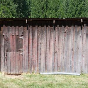 Outside of coop looking at entrance.