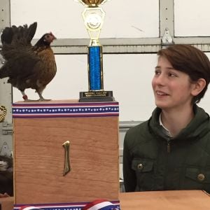 Cinnamon, junior table top champ