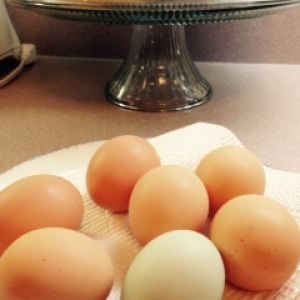 Beautiful light brown, medium brown, and moss green eggs. Now our other Easter Egger is laying too so we also get a pretty blue egg. Blueberry scones in background.