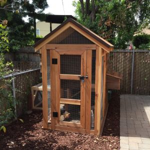 Coop "Les Trois Poulettes"