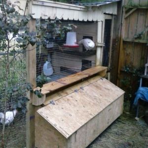 Phase 1 with new egg box (added this week)