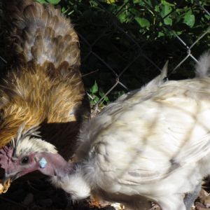 He is older but the both run away from each other,  they are still young