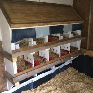 We've learned so much from this site and have taken some of the ideas we liked best and incorporated them into our coop. Here you can see a few of them; holes between each box and curtains on the top row. Yes I said curtains. Made from some old blue jeans, they will offer our hens both privacy and a stylish box that says "Yes, yes they are skinny jeans".