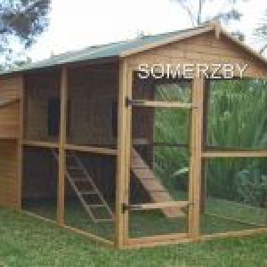 Heaps of head-room so that I can walk in and out without hitting my head when feeding the chooks.