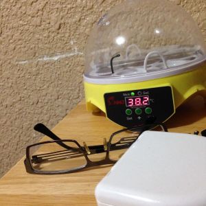My first incubator!