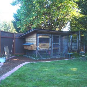 I started this project  in August 2014. Took the fall/winter off and resumed in spring 2015 only when weather permitted.  I've not done a whole lot since, just minor things for comfort and convenience. Life sort of got in the way of populating the coop along with my fear of brooding chicks in absentia - not home all day to ensure their comfort and safety in the house (no garage, no basement). I think I've come upon a less-worrisome manner to keep newborns warm w/o fear of fire or over heating from a heat lamp.  Anyway, I hope to move from 'virtual' chickens to real chickens in the very near future.  
Total cost came out around $300. The costliest part of the whole thing is the hardware: hinges, hasps, handles, stabilizing brackets (2 doors), hardware cloth, drip edge, and washers & screws ; and more washers & screws!