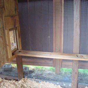 To maximize floor space I decided on the 'cat walk' - something I'd seen in other coops. My pop-door is manual operation for now until I get an automatic door opener. With mornings remaining dark later in the day, it's no bother for me to let the girls out myself as I'm up and about long before they would be.