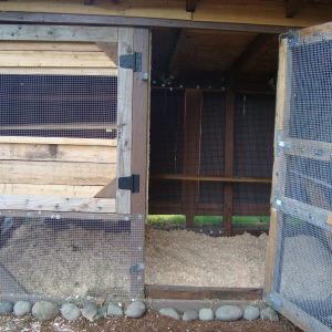 Hen house 5x4 (20 sf) and the run floor is 5x10 (50 sf). The window has its counterpart cut out I just haven't mounted yet. Now that winter is not far away, I'll need to get on to that.