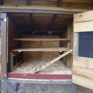 A platform beneath the roosting bars on which to place a light-weight poop board I can slide toward me for daily cleaning. Or until I find something that works better.
The floor is made of exterior siding, exterior side in, and lined with a scrap of vinyl flooring, then wood shavings. Again, end goal is to use sand in here as well.
The red board at the opening lifts out for easy raking out and while in, keeps bedding from falling out.