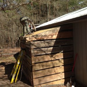 Dan putting the shingles on the new coop!