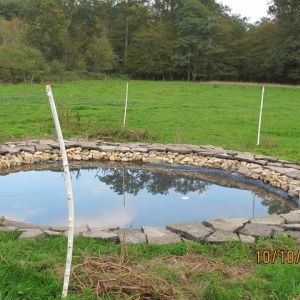 Duck and goose pond, constructed to allow run-off and filtering of surface feathers, built with black tarp, rocks and the pieces of road paving torn up and discarded off the side of the road!