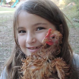 Daughter and her chicken Amy.