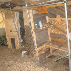 inside the car tent we have put down some wood shavings. hopefully it will help keep them dry and warm.
they also have outside perches