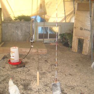 heated water dish, sand box, some toys and behind the doors is a cachet for my mommas